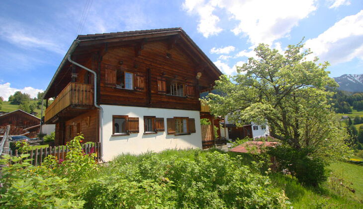 Bauernhaus mit Stall und Garten in Feldis