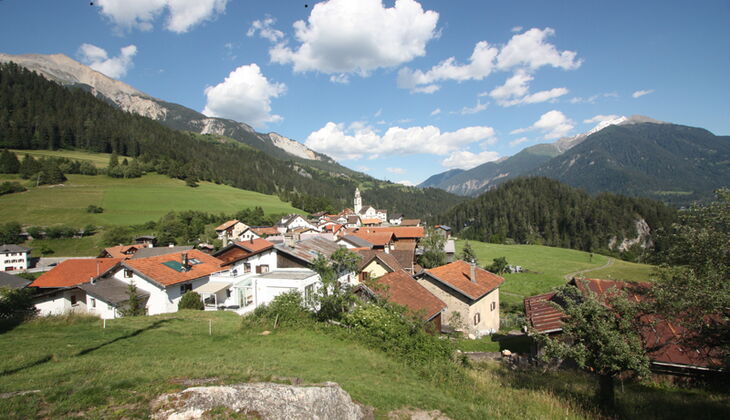 Bauernhaus mit Stall und Garten in Feldis